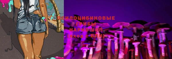 спиды Костерёво