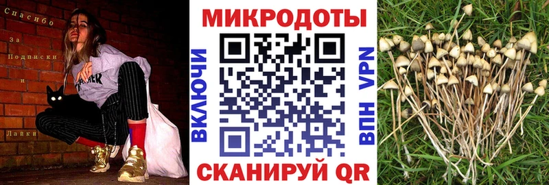 Псилоцибиновые грибы мухоморы  Купить где  Воскресенск 